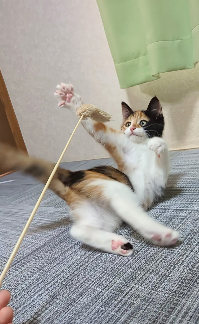 スタッフ撮影見本2